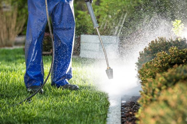Curb Cleaning in Modesto